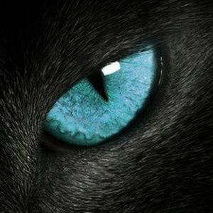 Meet your Posher, Moeman33